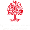 Big Tree Business Solutions LLC